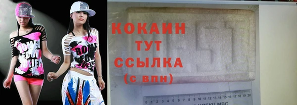 мдпв Каменногорск