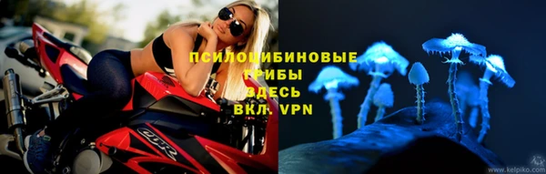 ALPHA PVP Каменск-Шахтинский