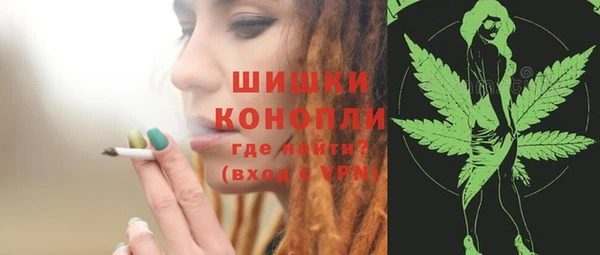 мдпв Каменногорск