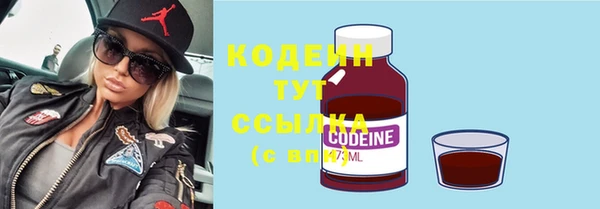 мдпв Каменногорск