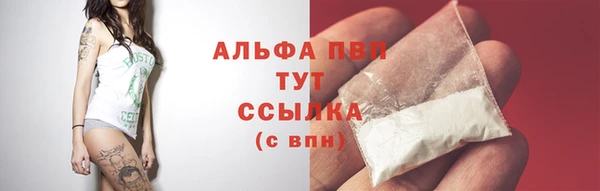мдпв Каменногорск