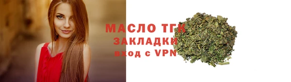 мдпв Каменногорск