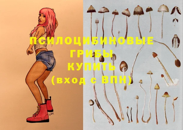 мдпв Каменногорск