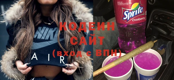мдпв Каменногорск