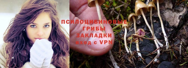 мдпв Каменногорск