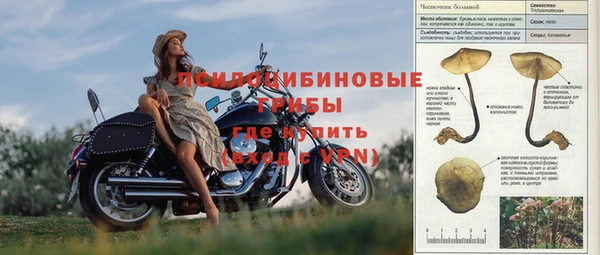 мдпв Каменногорск